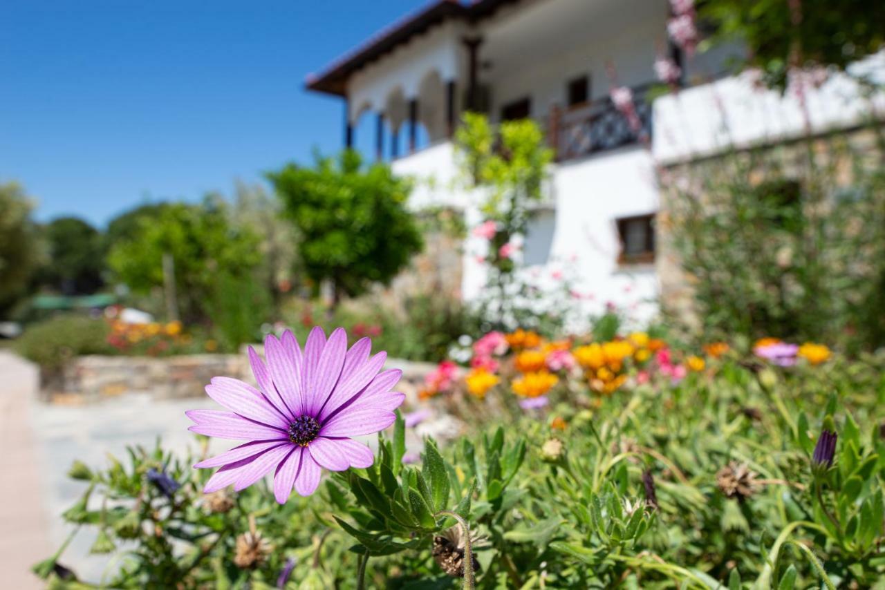 Apartmán Garden House Psarogiannis Vourvourou Exteriér fotografie