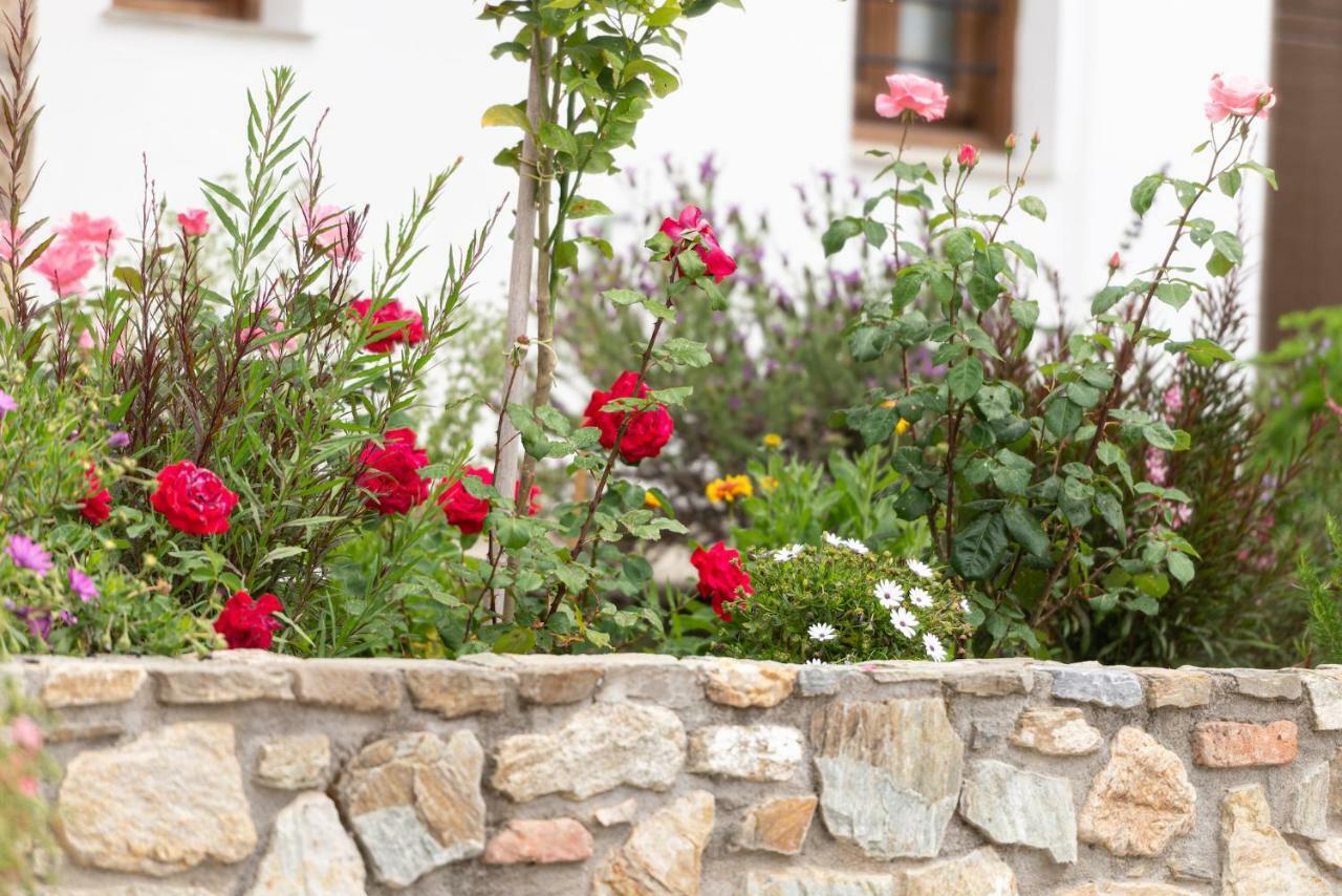 Apartmán Garden House Psarogiannis Vourvourou Exteriér fotografie