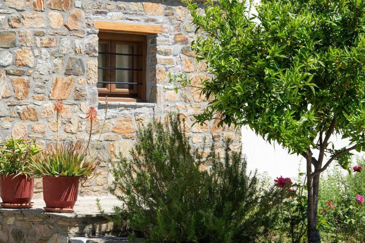 Apartmán Garden House Psarogiannis Vourvourou Exteriér fotografie